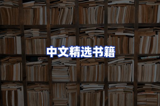 中文精选书籍